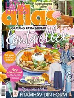 Allas SE
